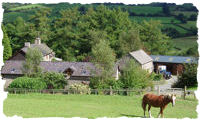 horse holidays