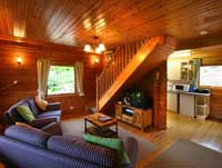 5 stra luxury pine lodge or log cabin powys wales