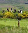 Self-catering accommodation for goling holidays