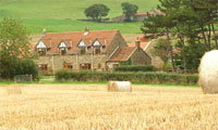 Late availability near Scarborough