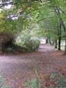 cottages in Cornwall near the Camel Trail for self-catering holidays