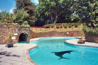 lxuruy cottages devon swimming pool
