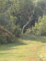 Stay in Essex - Lovely views on countryside walks in Hadleigh Castle country park