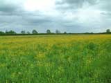 lincolnshire holidays