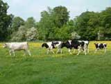 self catering lincolnshire