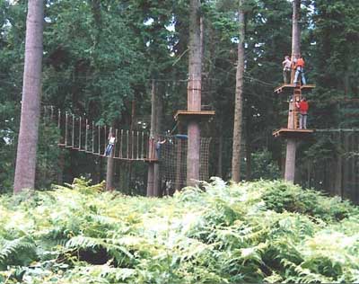 Thrilling but safe 'Go Ape' aerial obstacle course in Thetford Forest, Norfolk