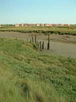 SWF Crouch walks