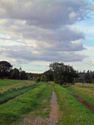 South Woodham fenn