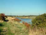 south woodham ferrers