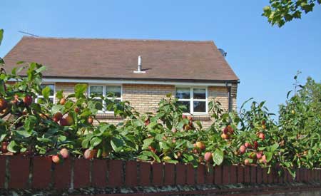 south woodham houses