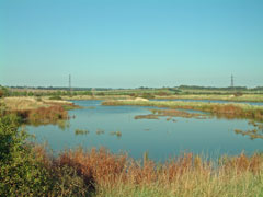 south woodham pond