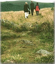 Bennachie.jpg (14266 bytes)