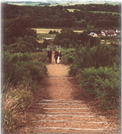 Steps.jpg (15568 bytes)
