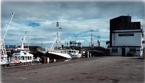 Peterhead_Harbour.jpg (12643 bytes)