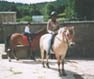 self-cateering accommodation and holidays with your horse, horse welcome holidays