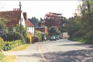 Passing houses with cottage gardens and blossoming trees on the way down hill