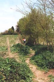 Go for a ramble on one of the numerous footpaths in the Dedham and Flatford Mill area of Suffolk whilst on your self-catering holiday or short break