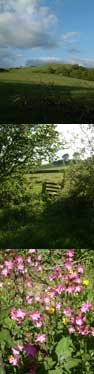 cottages mid wales