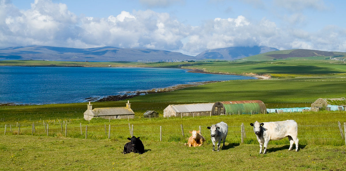 country cottages online scotland