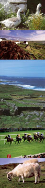 holiday cottages donegal ireland