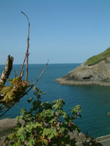 Luxury Cottages on Luxury Cottages In Devon For An Indulgent Self Catering Holiday