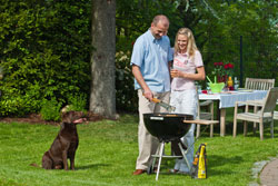 5 star rural cottages for couples with dogs