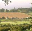 Beautiful countryside