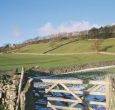 Blow those cobwebs away with a walk on the Yorkshire moors