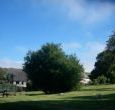 holiday cottages for in Dorset