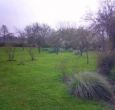 Garden with a pnd in this country cottage