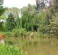 Kingfishers is hidden among the trees!