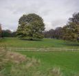 rural cottages in the Cotswolds
