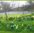 Tennid courts shared with B&B 