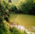 Fishing Lake