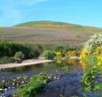 Stay in some of the finest holiday cottages in the country