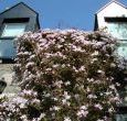 holiday cottages scotland ballater
