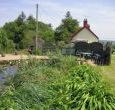 Watch dragonflies hover over the pond