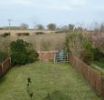 Back garden