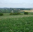 Donative Holiday Cottages
