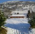 dog friendly log cabin Powys