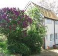 Shillings Cottage