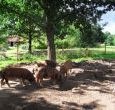 stay in the best self-catering holiday cottages in herefordshire