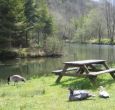 romantic country cottage with fishing nearby