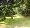 self catering cottage in rural setting near Mansfield Nottinghamshire