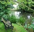 Somerset self-catering cottage - fishing