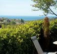 self catering country cottages on a farm Devon