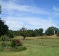 pet friendly luxury country cottage Norfolk sleeps 10