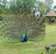 Luxury Self Catering Henley