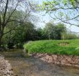 the brook