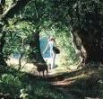 Wonderful walks